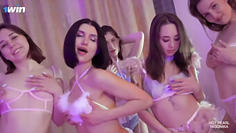 أستمتع بممارسة الجنس مع مجموعة من الأشخاص _ Flamingo Orgy4 _ 1winporn_ Nigonika'S Top Porn