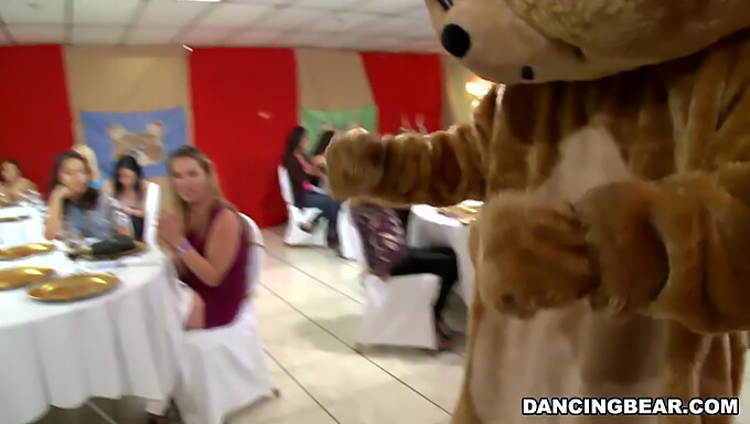 Λάβετε Μέρος Στη Διασκέδαση Με Τον Γνωστό Dancing Bear Σε Ένα Πάρτι Οργίων! (Cfnm)