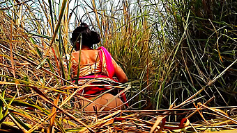 Indian Bhabhi'S Outdoor Sex Adventure In The Field