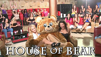 Wild Cfnm Party With Dancing Bear And Horny Women Giving Blowjobs And Having Sex