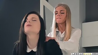 Glamorous Lesbians Indulge In Rough Sex With Toys